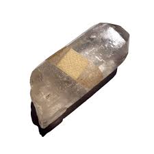 Your Root is Evolving! Crystals to Help You Adapt + Thrive — Krista Mitchell