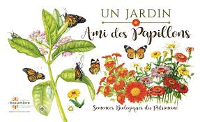 Les 10 papillons les plus courants de nos jardins. Boite De Semences Ami Des Papillons Jardins De L Ecoumene