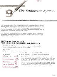 Complete the following statements by choosing. Key Endocrine System Test Review 2013