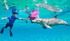 Atlantis Dolphin Cay For Young Kids - Simply Every