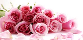 Chambre d'hôte à gerberoy situé dans l' oise: Chambres D Hotes A Gerberoy Le Logis De Gerberoy