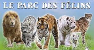 Les angles' animal park, wild animals in their natural area. Parc Des Felins Guide De Visite Tarifs 2019 Horaires Instinct Animal