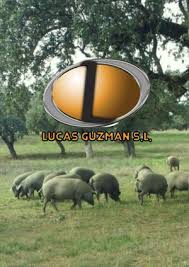 L'azzurro, classe 2000, ha battuto in semifinale l'argentino lucas guzman. Calameo Catalogo Lucas Guzman S L