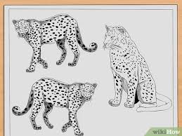 We did not find results for: How To Draw Leopards 11 Steps With Pictures Wikihow