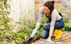 Experts weigh in on how to keep your plants thriving and your garden looking good for years to come lauren dunec hoang august 9, 2020 houzz editor; H1 Fall Gardening Tips How To Maintain Your Garden During Fall Topplanetinfo Com Entertainment Technology Health Business More
