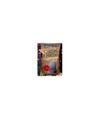 Mix do bonsai bonsai focus repotting mix 2l. Cactus Focus Potting Compost