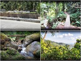 Taman tasik ini dibuka pada tahun 1985 dan direka oleh arkitek lanskap dari jepun, fumiaki takano. 77 Tempat Menarik Di Penang Destinasi Terbaik Di Pulau Pinang Sgmy