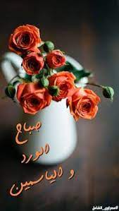 بوستات صباح الخير اجمل رسائل صباح الخير good morning flowers good morning greetings good morning arabic