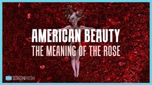 What is your purpose in life? American Beauty The Meaning Of The Rose Youtube
