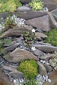 41 Awesome Diy Rock Garden Ideas For Backyard 15 Maanitech Com Rockgardenideas Backyard Backyard Rock Garden Design Rockery Garden Rock Garden Landscaping