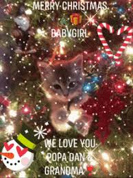 Please find size guideline among the photos of the item. Christmas Kitten Gifs Tenor