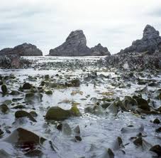 Kap is an equal employment opportunity employer (eeoe). Chile Kap Hoorn Ein Landgang Am Ende Der Welt Welt