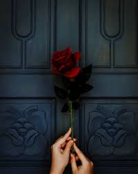 What you need to know is that these images that you add will neither increase nor decrease the speed of your computer. Flowers Women Wallpapers Wallpaper Cave