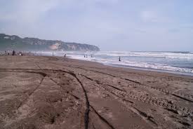 Setelah kamu mempelajari keaneka ragaman budaya dan suku bangsa di indonesia, lakukan kegiatan pengamatan di lingkungan sekolahmu! Daerah Istimewa Yogyakarta Wikipedia Bahasa Indonesia Ensiklopedia Bebas