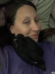 I got 3 little polish babies today❤️ one I'm a little worried about...  Unless she's just a tired little chickie?