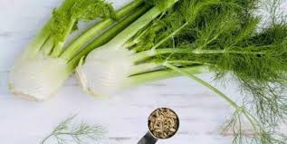 It is very useful when treating our feline friends for viruses because it strengthens their immune systems. Can Cats Eat Fennel Or Is This Herb Poisonous Pet Care Advisors