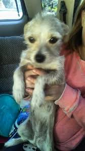 Found a spot meter for photography a few days ago in the Mount Shasta area.  If you can tell me the brand and location it would have been lost, then  it's yours.