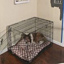 The 9 best dog crates with dividers. Diy Dog Crate Hack