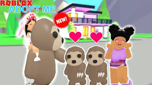 As you know, roblox has had tons of games available to play and this game is always on the popular list. Adopting Baby Triplet Sloths Rideable With My Daughter Roblox Adopt Me Update Youtube