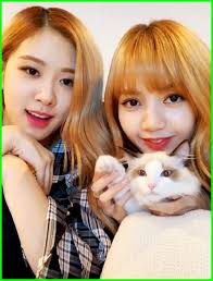 Blink Wajib Tahu 11 Hewan Peliharaan Member Blackpink Gemes Dunia Fauna Hewan Binatang Tumbuhan Dunia Fauna Hewan Binatang Tumbuhan
