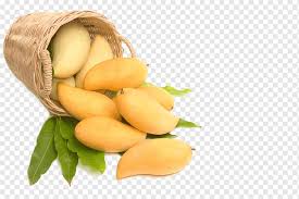 Choose from 58000+ fruit graphic resources and download in the form of png, eps, ai or psd. Sliced Mango Fruit Mango Commodity Mango Food Tropical Fruit Fruit Png Pngwing