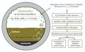 Schnell an biogene schwefelsäurekorrosion oder schäden infolge von frostbeanspruchung. Biogene Schwefelsaurekorrosion 2016 Wiley Analytical Science