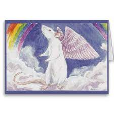 White Rat Angel Card Zazzle Com Rainbow Bridge Angel Artwork Angel Cards