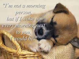 You can share these quotes with all you want to on instagram or any other social media account to show your appreciation and gratitude for all physicians, doctors, surgeons, etc who serve us selflessly. Animals With Quotes About Tuesday Quotesgram