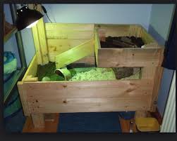 Multilevel Tortoise Table Russian Tortoise Diet Russian Tortoise