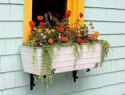 When planting a container garden i learned the best way is the thrill, the fill and the spill. Best Window Boxes Better Homes Gardens