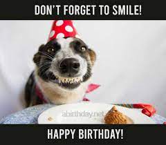 With tenor, maker of gif keyboard, add popular happy birthday funny dog animated gifs to your conversations. Happy Birthday Dog Funny Happy Birthday