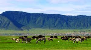 Ngorongoro Crater - 2D/1N