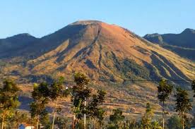 Axolotl drawing easy / chibi axolotl | animal draw. Karta Neglasari Ajak Masyarakat Peringati Hari Kemerdekaan Dengan Menjaga Alam Dara Co Id