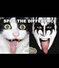 Look Alikes Kiss Rock Bands Funny Pictures Like Animals
