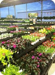 Garden Center At Walmart Garden Center Displays Garden Center Plants