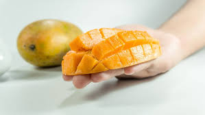 Berikut ini adalah daftar minuman dan makanan yang dapat menggugurkan kandungan dan sebaiknya mom hindari demi keselamatan calon si buah hati. Benarkah Buah Mangga Berbahaya Bagi Ibu Hamil 100comments Product Reviews Samples News