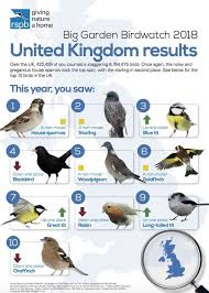 Nutritious foods like suet fat balls & sunflower seeds to help attract a wide range of. 400 Biggardenbirdwatch Ideas Big Garden Birdwatch Garden Tags Big Garden