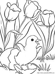 Hier in münchen ist das besonders extrem: Ausmalbilder Fruhling Bild Eine Geburt Unter Blumen