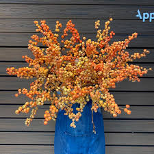 Browse the most recent bonita springs, florida obituaries and condolences. 12 Flowers In Earthy Hues You Will Love Article On Thursd