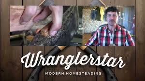 Check spelling or type a new query. How To Fix A Loose Axe Head Wranglerstar Youtube