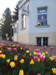 An der michaelisbrücke 2, hof, 95028, germany. Viet Thai China Restaurant China Garten Home Bad Sachsa Menu Prices Restaurant Reviews Facebook
