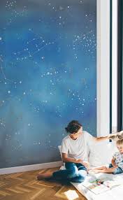 This Constellations Starry Night Sky Wallpaper Mural Is Perfect For A Kids Bedroom Night Sky Wallpaper Kids Room Murals Starry Night Sky