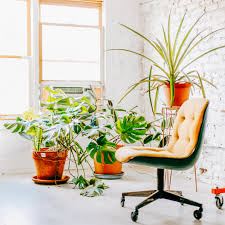 Buy office chair at astoundingly low prices without compromising quality. 10 Office Chairs For Your Home Office The Green Mad House