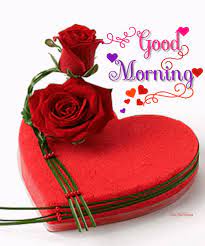 I love you gifs is a collection of the best i love you animated gifs that are easy to share with friends on social media and happy valentines day. Sign In Good Morning Roses Good Morning Gif Good Morning Gif Images