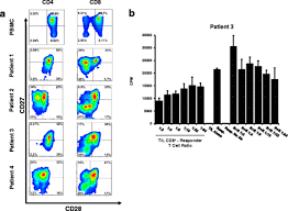 Tange associates will continue to engage in dialogue with clients and envision the future of people and cities, aiming for new heights in architecture. Tumor Derived Exosomes Induce Cd8 T Cell Suppressors Journal For Immunotherapy Of Cancer