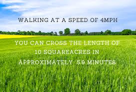 To convert from acres to square feet, multiply your figure by 43560. How Big Is 10 Acres Of Land With Helpful Visual Comparisons Outdoor Troop