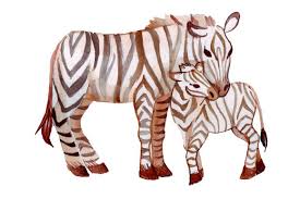 Hummingbird mandala zentangle design this svg cutting file contains the following formats: Xar6rsjjeqcd7m