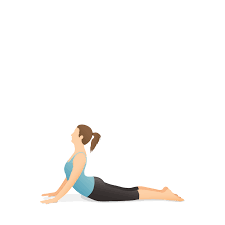 Right way to cobra pose of yoga! Wha4cdxjzsj4em
