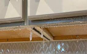 As soon as you notice any diseased plants, destroy them immediately. White Mold Growth In Your Home Causes Solutions Environix