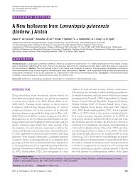 Image result for Lomariopsis guineensis